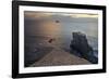 Gannet Colony Breeding Colony of the Australasian-null-Framed Photographic Print