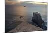 Gannet Colony Breeding Colony of the Australasian-null-Mounted Photographic Print