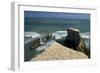 Gannet Colony Breeding Colony of the Australasian-null-Framed Photographic Print