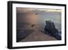 Gannet Colony Breeding Colony of the Australasian-null-Framed Photographic Print