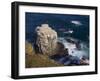 Gannet Colony (Sula Bassana) at Langanes, Langanes Peninsula, North Iceland (Nordurland), Iceland-Patrick Dieudonne-Framed Photographic Print