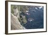 Gannet (Morus Bassanus) Breeding Colony Flight Trails. Hermaness Nnr, Shetland, Scotland, UK-Peter Cairns-Framed Photographic Print