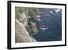 Gannet (Morus Bassanus) Breeding Colony Flight Trails. Hermaness Nnr, Shetland, Scotland, UK-Peter Cairns-Framed Photographic Print