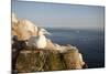 Gannet (Morus Bassanus) on Nest on Cliff. June 2010-Peter Cairns-Mounted Photographic Print