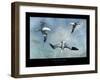 Gannets Trio-Carlos Casamayor-Framed Giclee Print