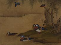 Ducks and Swallows. from an Album of Bird Paintings-Gao Qipei-Mounted Giclee Print