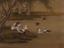 Ducks and Swallows. from an Album of Bird Paintings-Gao Qipei-Framed Stretched Canvas