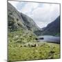 Gap of Dunloe, County Kerry, Munster, Republic of Ireland, Europe-Andrew Mcconnell-Mounted Photographic Print
