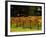 Gapstead Vineyard, near Bright, Victoria, Australia-David Wall-Framed Photographic Print