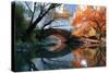 Gapstow Bridge, Fall-Michael Chen-Stretched Canvas