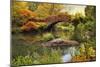 Gapstow Bridge Serenity-Jessica Jenney-Mounted Giclee Print