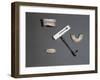 Garangeot Tooth Key and Dentures-null-Framed Giclee Print