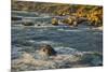 Garapata Beach, Carmel by the Sea, California.-John Ford-Mounted Photographic Print