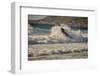 Garapata Beach, Carmel by the Sea, California.-John Ford-Framed Photographic Print