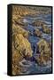 Garapata Beach, Carmel by the Sea, California.-John Ford-Framed Stretched Canvas