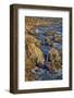 Garapata Beach, Carmel by the Sea, California.-John Ford-Framed Photographic Print