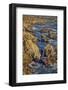 Garapata Beach, Carmel by the Sea, California.-John Ford-Framed Photographic Print