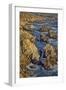 Garapata Beach, Carmel by the Sea, California.-John Ford-Framed Photographic Print