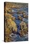 Garapata Beach, Carmel by the Sea, California.-John Ford-Stretched Canvas