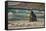 Garapata Beach, Carmel by the Sea, California.-John Ford-Framed Stretched Canvas