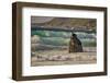 Garapata Beach, Carmel by the Sea, California.-John Ford-Framed Photographic Print