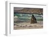 Garapata Beach, Carmel by the Sea, California.-John Ford-Framed Photographic Print