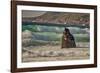 Garapata Beach, Carmel by the Sea, California.-John Ford-Framed Photographic Print