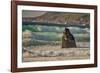 Garapata Beach, Carmel by the Sea, California.-John Ford-Framed Photographic Print