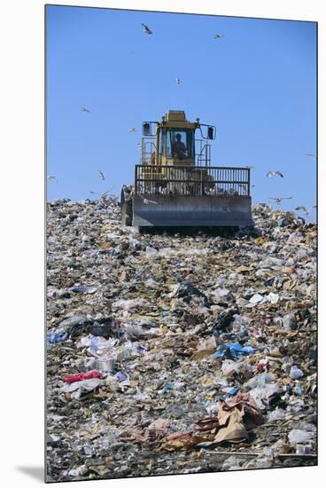 Garbage Dump-DLILLC-Mounted Premium Photographic Print