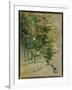 Garden, 1883 (Oil on Canvas)-Berthe Morisot-Framed Giclee Print