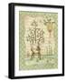 Garden 1-Robin Betterley-Framed Giclee Print