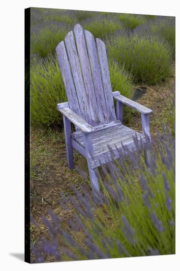 Garden, Adirondack Chair and Straw Hat, Lavender Festival, Sequim, Washington, USA-Merrill Images-Stretched Canvas