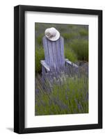 Garden, Adirondack Chair and Straw Hat, Lavender Festival, Sequim, Washington, USA-Merrill Images-Framed Photographic Print