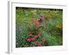 Garden and Forest in New Brunswick, Canada-Ellen Anon-Framed Photographic Print