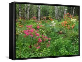 Garden and Forest in New Brunswick, Canada-Ellen Anon-Framed Stretched Canvas