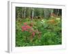 Garden and Forest in New Brunswick, Canada-Ellen Anon-Framed Photographic Print