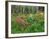 Garden and Forest in New Brunswick, Canada-Ellen Anon-Framed Photographic Print