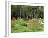 Garden and Forest in New Brunswick, Canada-Ellen Anon-Framed Photographic Print