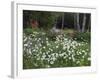 Garden and Forest in New Brunswick, Canada-Ellen Anon-Framed Photographic Print