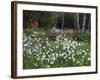 Garden and Forest in New Brunswick, Canada-Ellen Anon-Framed Photographic Print