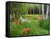 Garden and Forest in New Brunswick, Canada-Ellen Anon-Framed Stretched Canvas