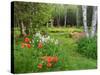 Garden and Forest in New Brunswick, Canada-Ellen Anon-Stretched Canvas