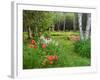 Garden and Forest in New Brunswick, Canada-Ellen Anon-Framed Photographic Print