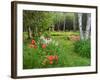 Garden and Forest in New Brunswick, Canada-Ellen Anon-Framed Photographic Print