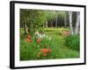 Garden and Forest in New Brunswick, Canada-Ellen Anon-Framed Photographic Print