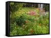Garden and Forest in New Brunswick, Canada-Ellen Anon-Framed Stretched Canvas