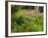 Garden and Forest in New Brunswick, Canada-Ellen Anon-Framed Photographic Print