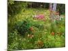 Garden and Forest in New Brunswick, Canada-Ellen Anon-Mounted Photographic Print