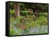 Garden and Forest in New Brunswick, Canada-Ellen Anon-Framed Stretched Canvas