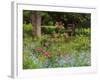 Garden and Forest in New Brunswick, Canada-Ellen Anon-Framed Photographic Print